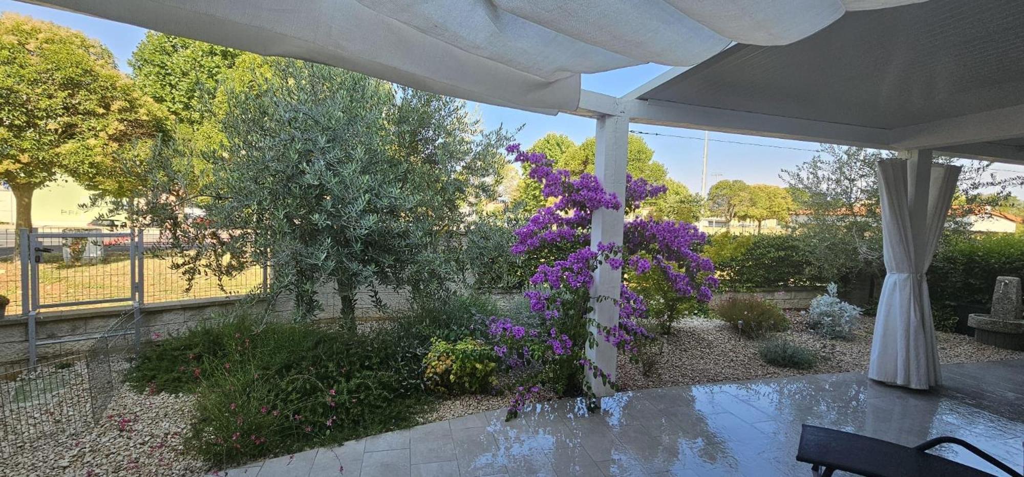 Apartman Magnolija אומאג מראה חיצוני תמונה
